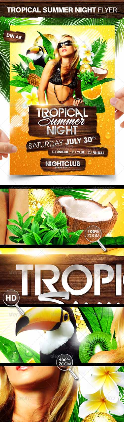 GraphicRiver - Tropical Summer Night