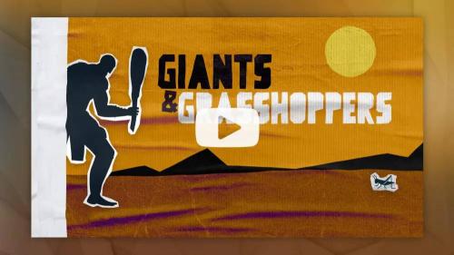 Giants & Grasshoppers - Bumper Video