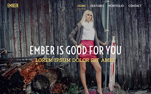 WrapBootstrap - Ember - One Page Responsive Template