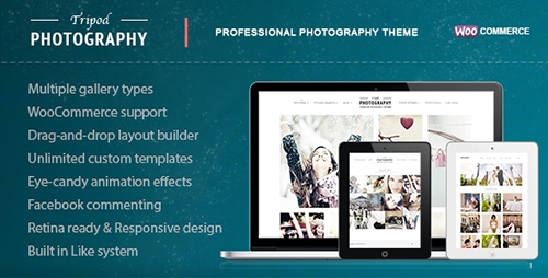 ThemeForest - Tripod v2.2 - Professional WordPress Photography Theme